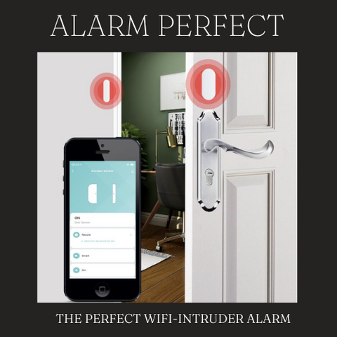 ALARM PERFECT ™