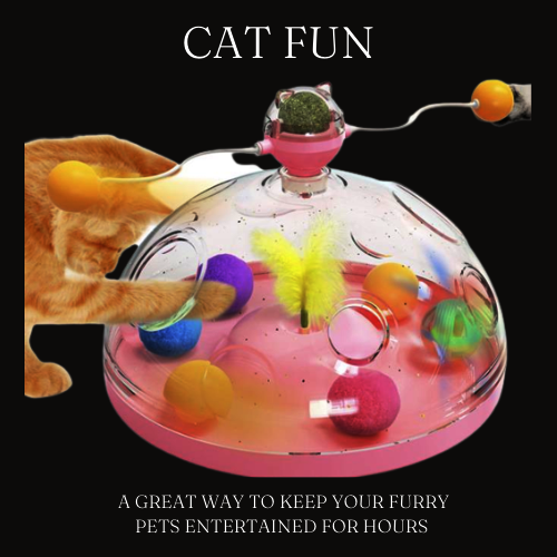 CAT FUN ™