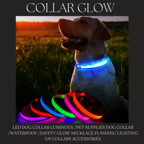 COLLAR GLOW ™