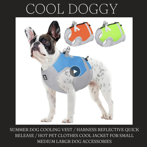 COOL DOGGY ™