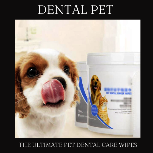 MASCOTA DENTAL™ 