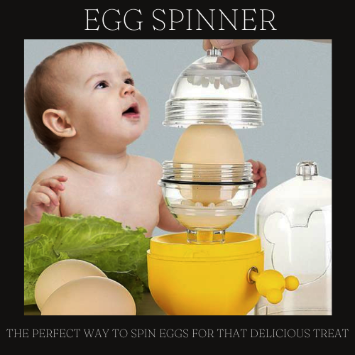 EGG SPINNER ™