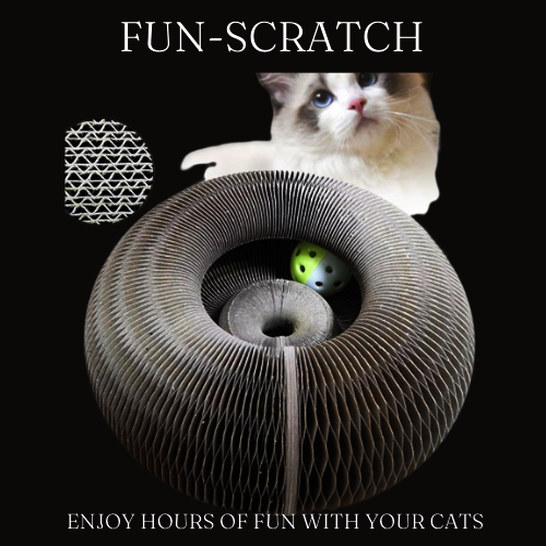 DIVERTIDO SCRATCH™ 