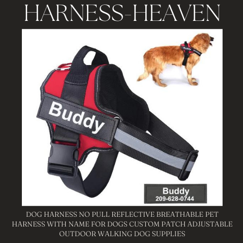 HARNESS HEAVEN ™