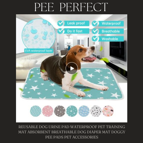 PEE PERFECT ™