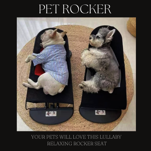MASCOTA ROCKER ™ 