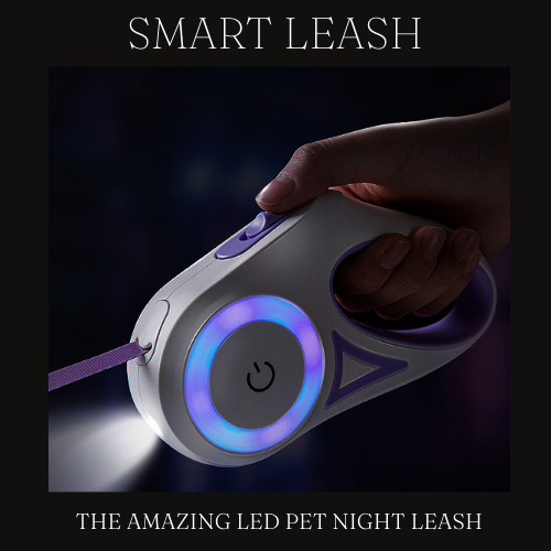 SMART LEASH ™