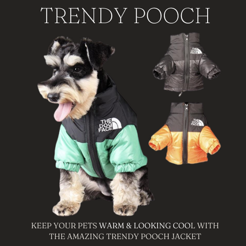 TRENDY POOCH ™