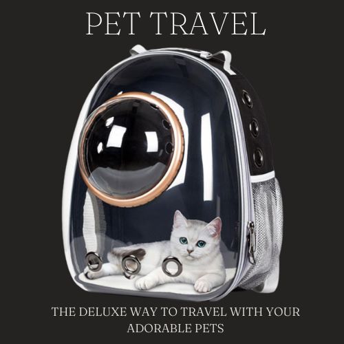 VIAJE PARA MASCOTAS ™ 